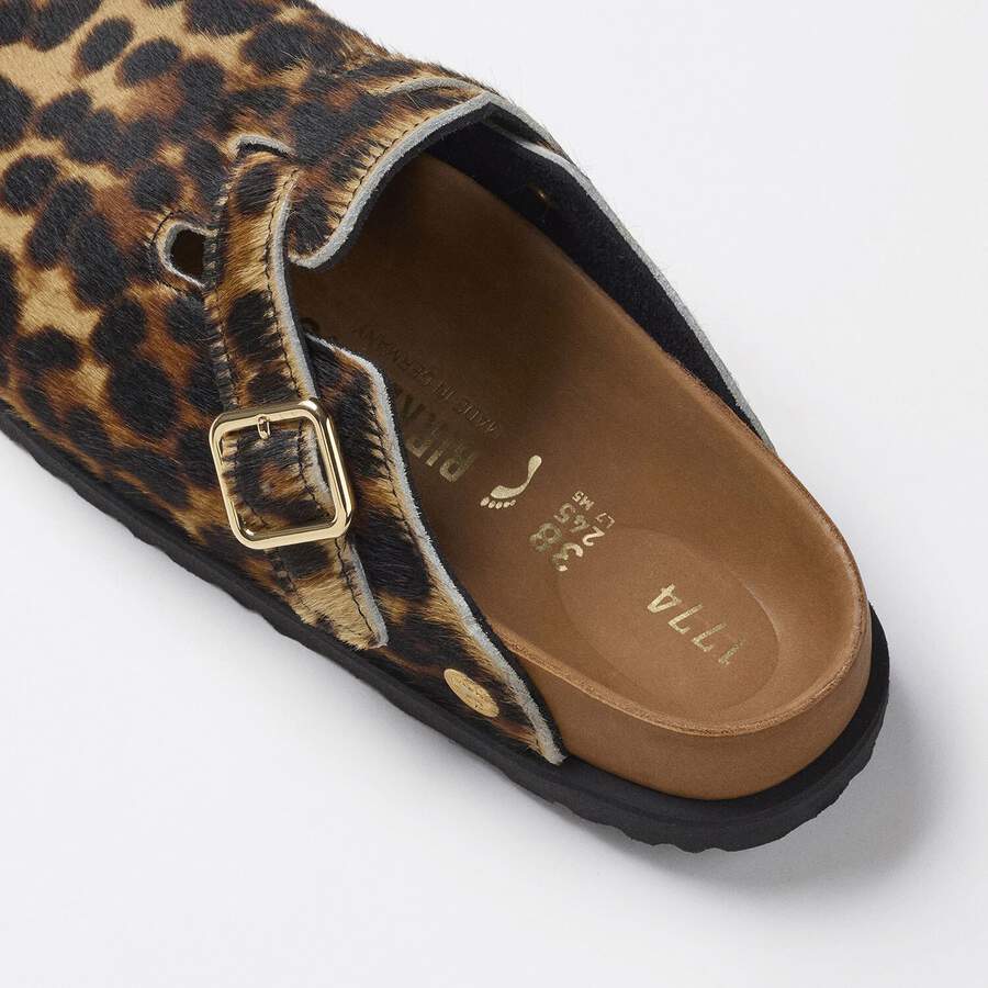1774 Boston Fur - Classic Leo